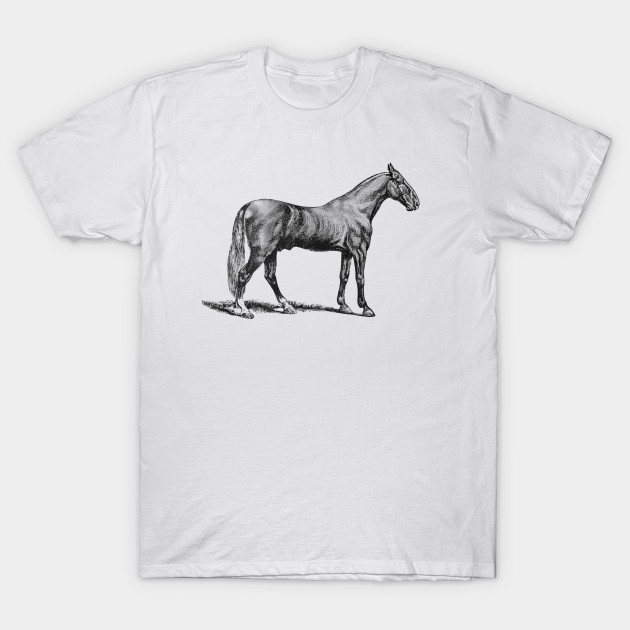 Horse Black and White Illustration by Biophilia